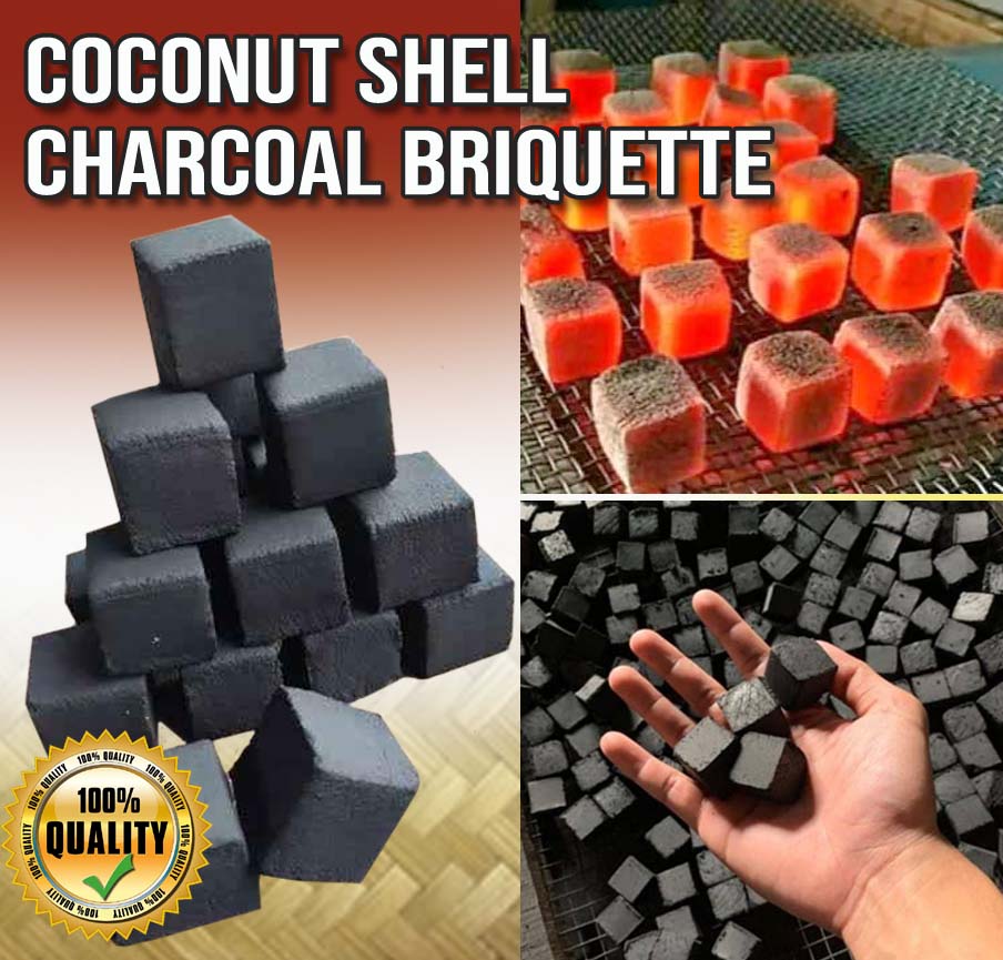 Wholesaler of COCONUT SHELL CHARCOAL BRIQUETTES Inaexport